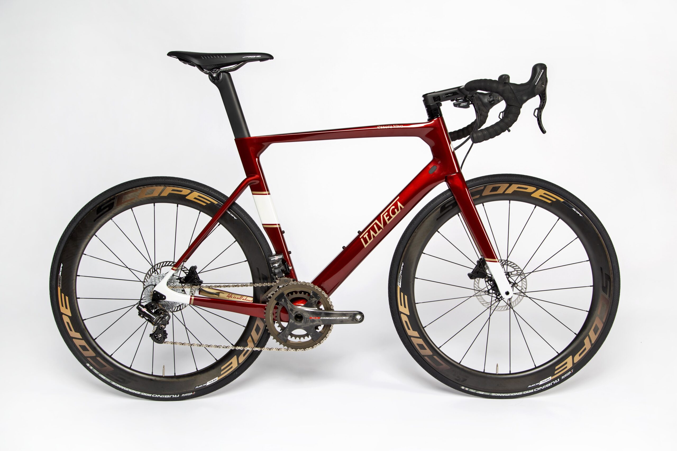 Essere Vivo – BRONZE BEAR